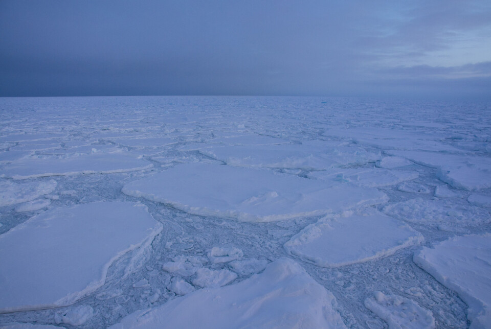 Large areas of the western Greenland Sea are still covered by ice during winter. In the future, these waters could become open.