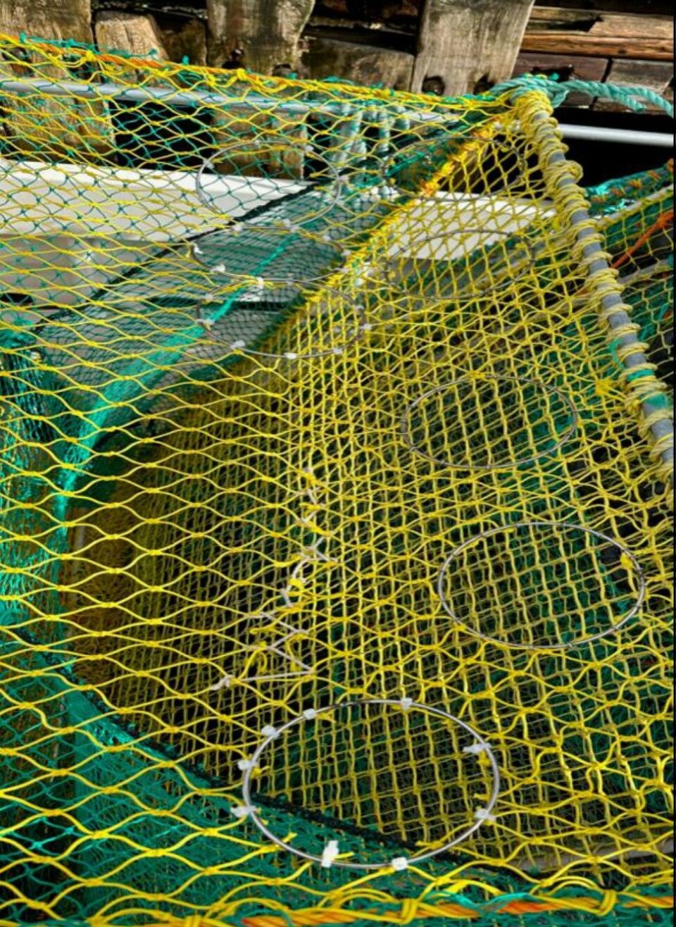 The goal is to trap the male crabs in the pots while allowing female and small crabs to escape. The solution is as simple as it is effective: Doubling the number of escape routes from four to eight.