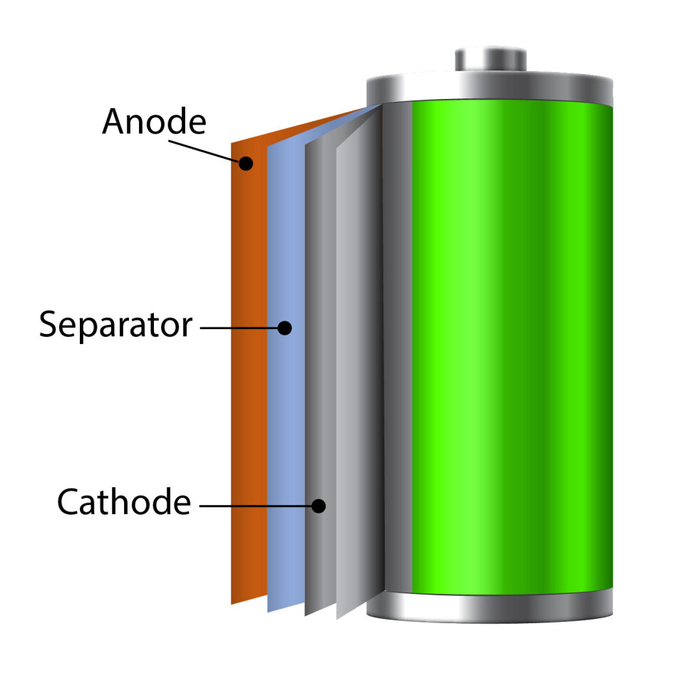 The components of the battery.