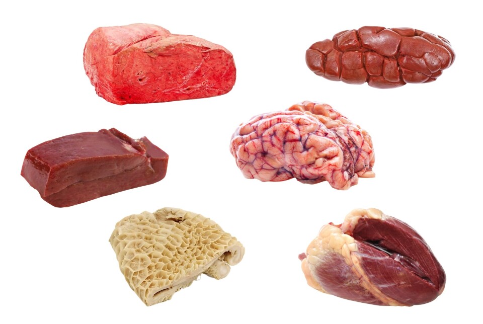 Offal from cattle: Top left to right: lung and kidney. Middle: liver and brain. Bottom: stomach and heart.