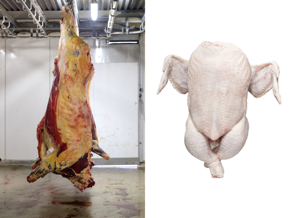We rarely see whole animal carcasses today. The exceptions are turkeys and chickens.