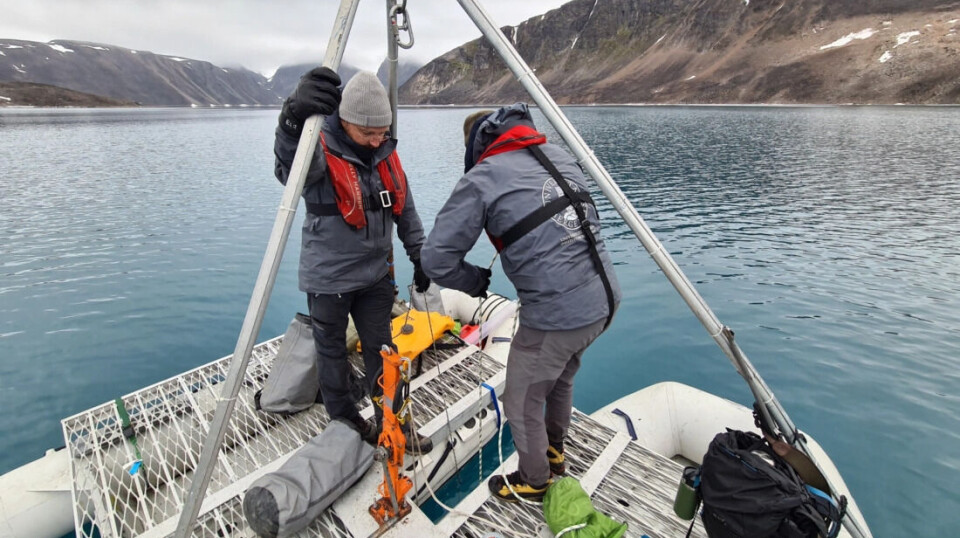 The researchers investigated glacial lakes fed by the Åsgardfonna glacier.