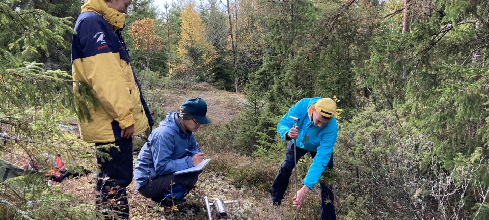 Researchers are now going to monitor carbon in forest and grassland soils