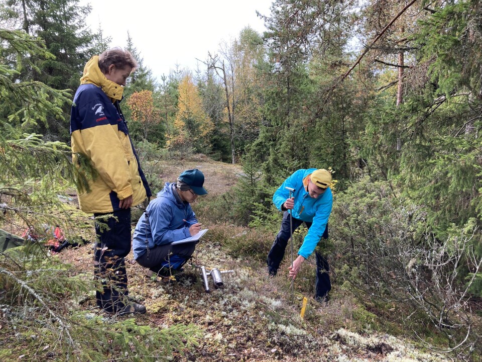 NIBIO’s program for soil carbon monitoring is an important foundation for further research on the soil’s carbon content.