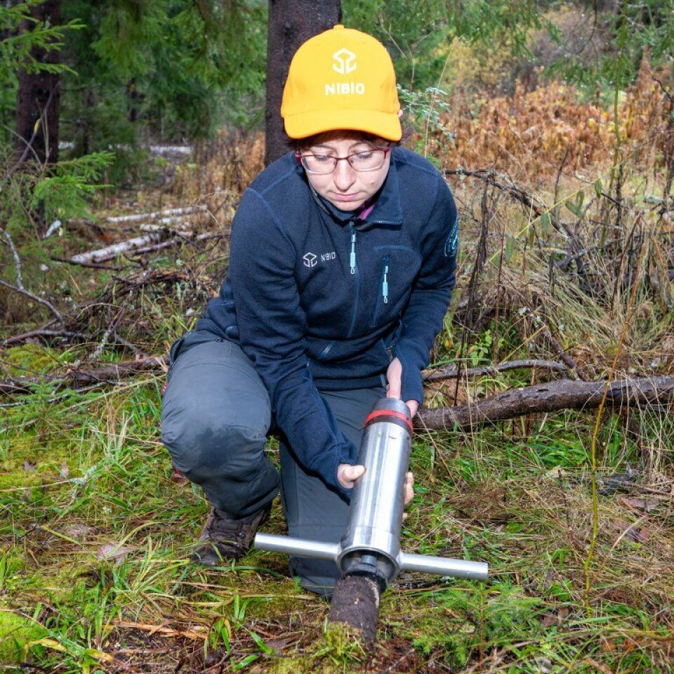 Irene Marongiu demonstrates how they collect soil samples.