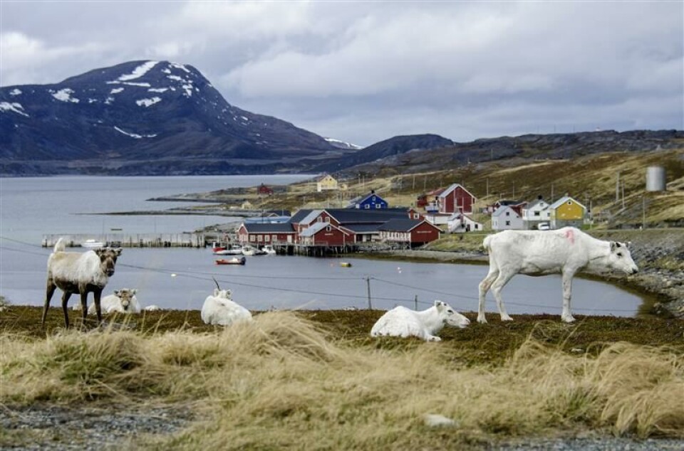 Since grazing areas and migration routes cross municipal borders, reindeer herders need to stay updated on development plans in each area.