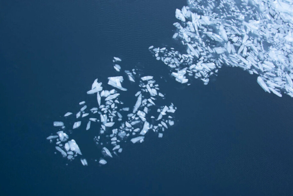 Ice in the Greenland Sea.