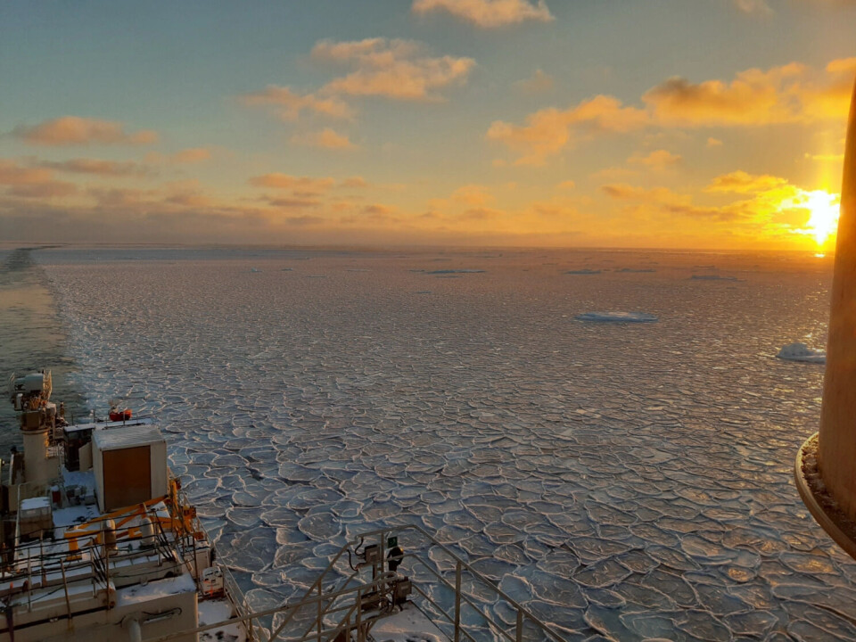 Photo from a research expedition in the Greenland Sea.