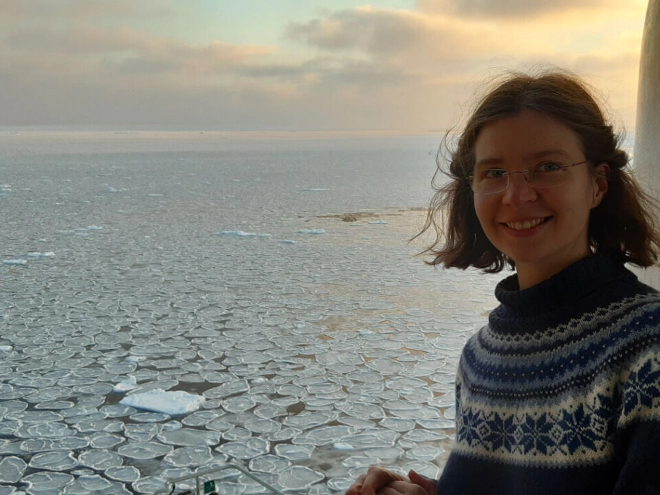 Anna-Marie Strehl during a research expedition in the Greenland Sea.