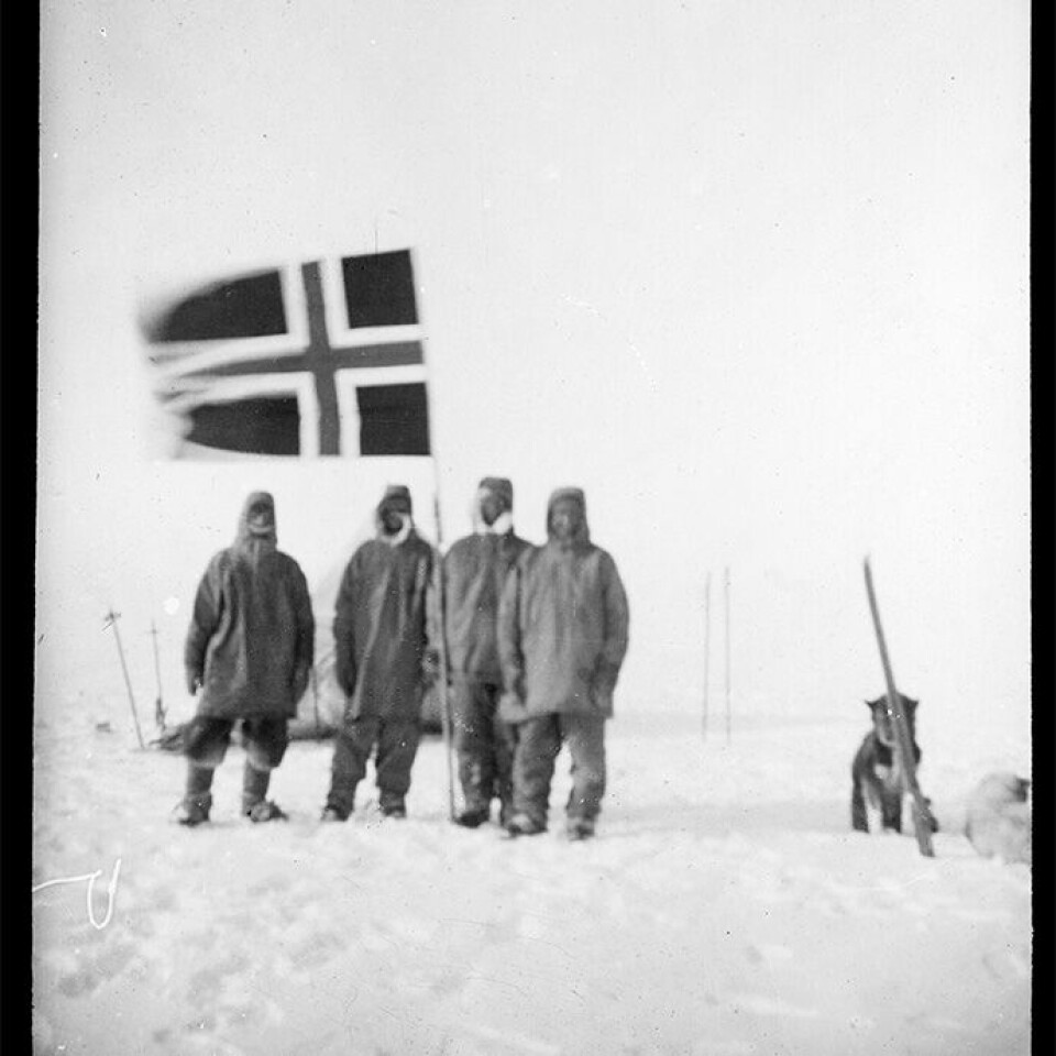 Roald Amundsen, Oscar Wisting, Olav Bjaaland, and Sverre Hassel were aided by sled dogs in the race to the South Pole. Today, dogs are strictly banned in Antarctica.