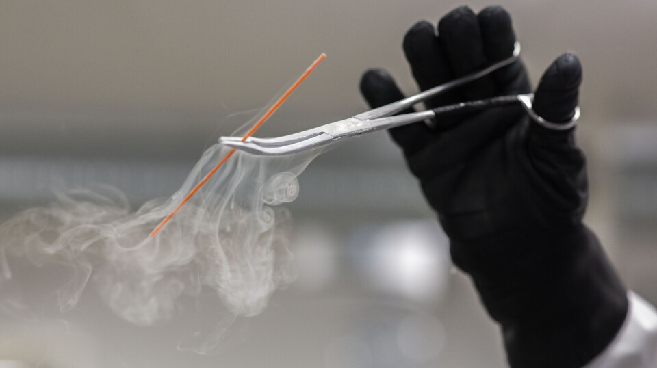 This image shows frost smoke around a straw containing frozen sperm. Sperm can be cryopreserved for later use in assisted reproduction.