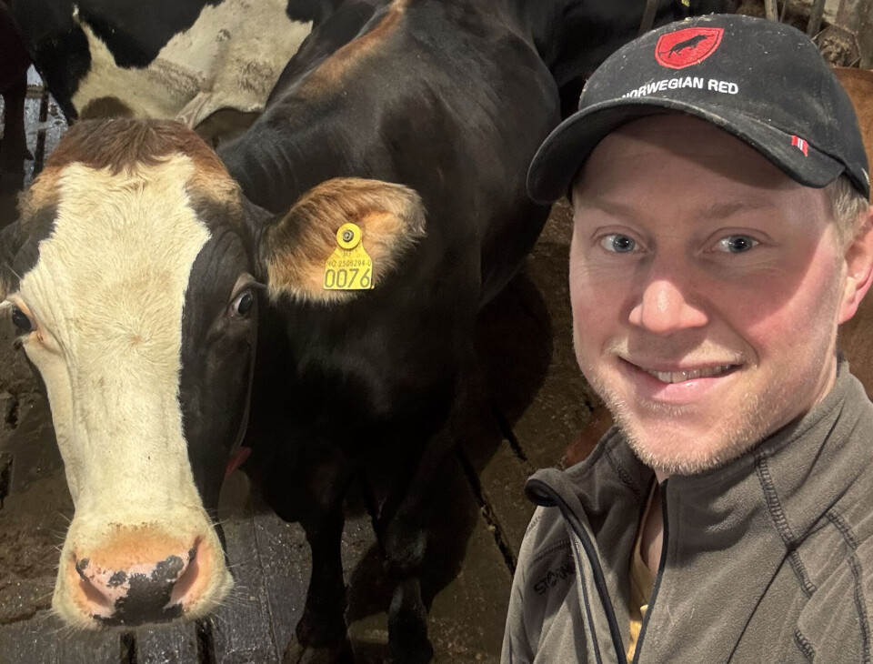 Emil Moen collects beer leftovers for his cows once a week.