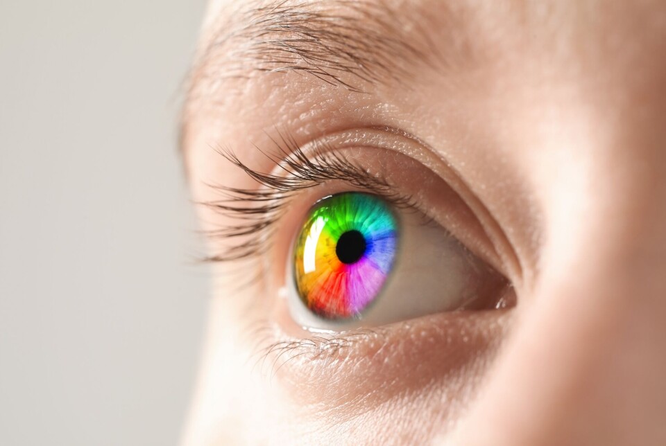 How we perceive colours can be influenced by the structure of the eye and how the brain interprets signals.