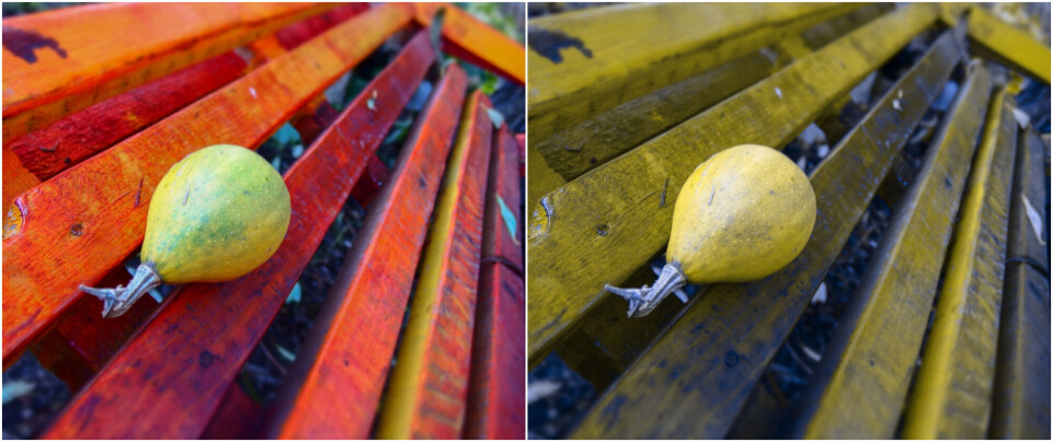 The image on the right shows how you might see the world if you have colour vision deficiency.