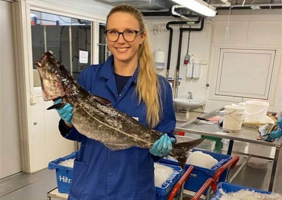 Researcher Line Skontorp Meidell has completed her PhD on the utilisation of residual raw materials from the sea – or viscera, if you will.