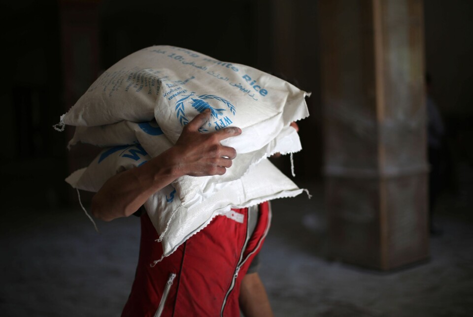 Controversial calories: How do we measure hunger?