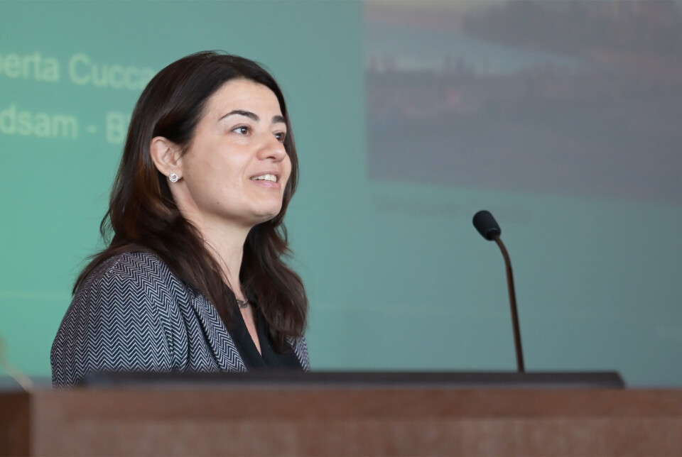“The reduced government commitment to housing investment has contributed to a shrinking supply of affordable housing,” says urban sociologist Roberta Cucca.