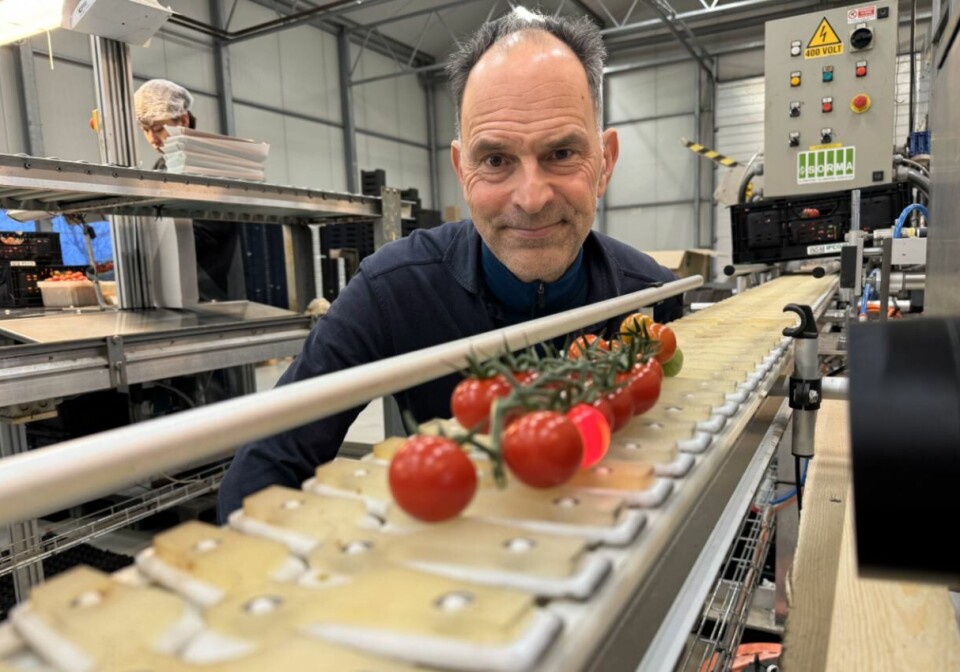 Senior scientist Jens Petter Wold at Nofima has led the work on developing sensors to measure sweetness in tomatoes