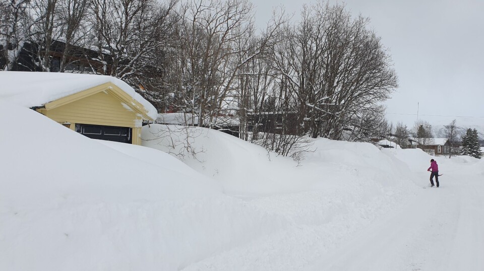 Regional differences make the experiences of environmental changes highly varied. This image is from the snowy month of March that Tromsø experienced in 2024.