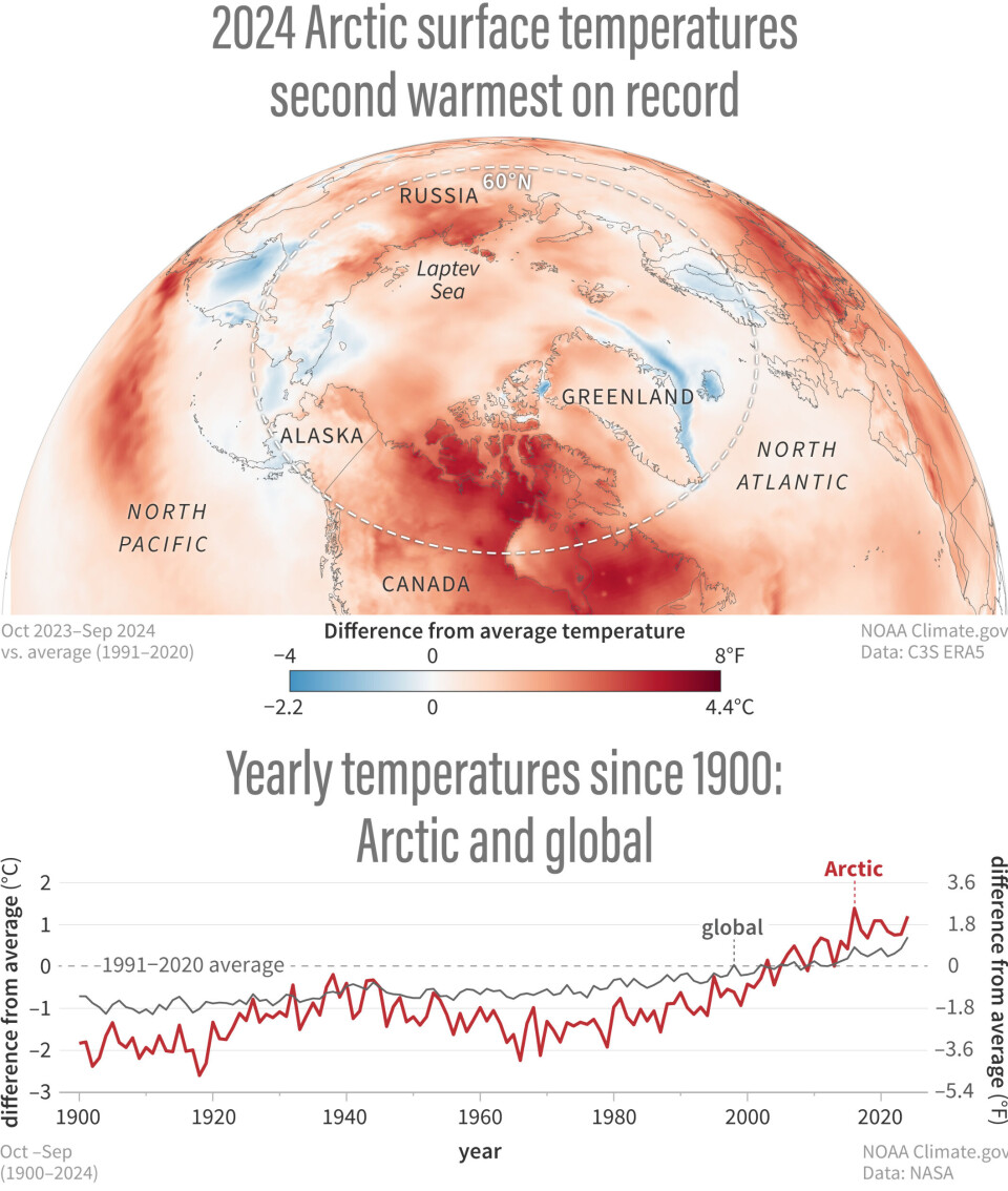 The graph shows yearly Arctic (red line) and global (grey line) temperatures compared to the long-term average (1991–2020) from 1900–2024.