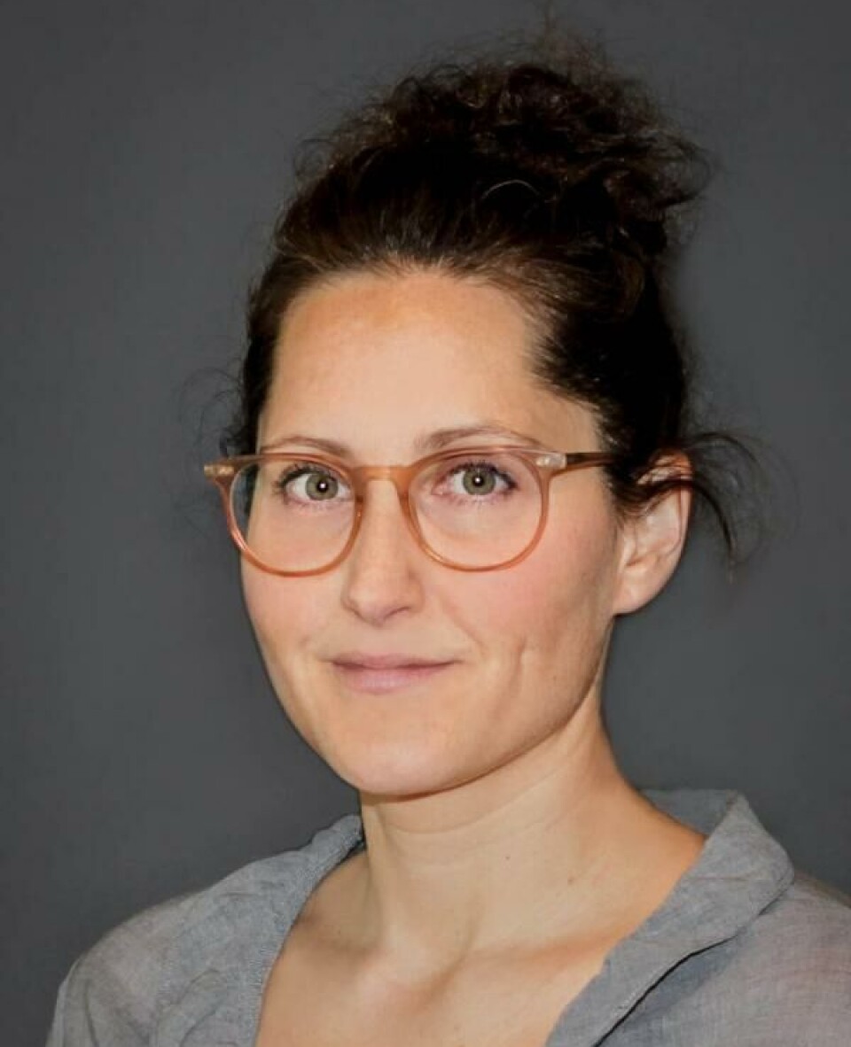 Is flexible school start the answer? Liza Reisel believes that we should be cautious about delaying entry to school for all children. “When it comes to boys and school, it's partly about a way of being in the world that doesn’t necessarily improve over time,” she says.