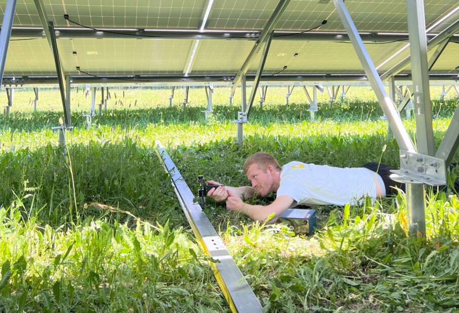 Ground-mounted solar panels can generate a lot of electricity, but how do they affect nature?