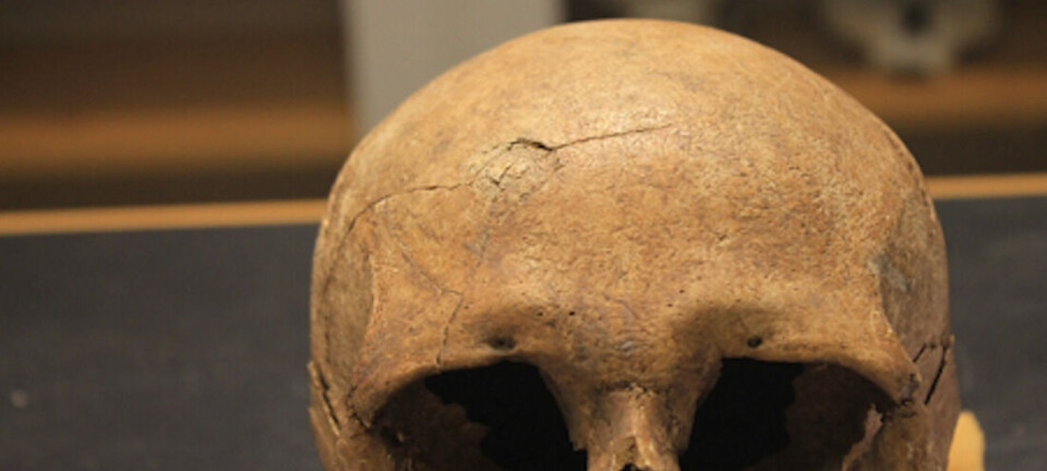 New clues from old bones: Some Vikings were much more violent than others