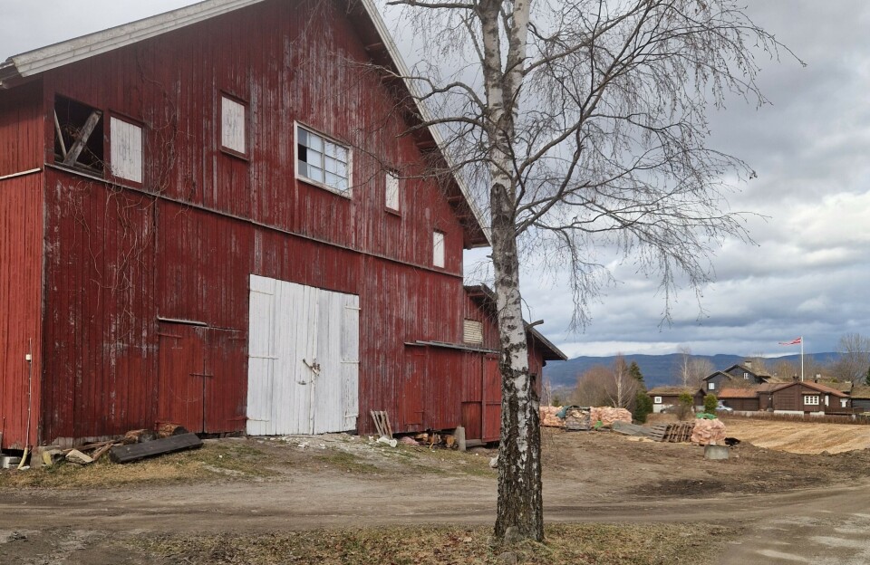 Between the birch tree and the barn wall, a Viking was buried in a boat.