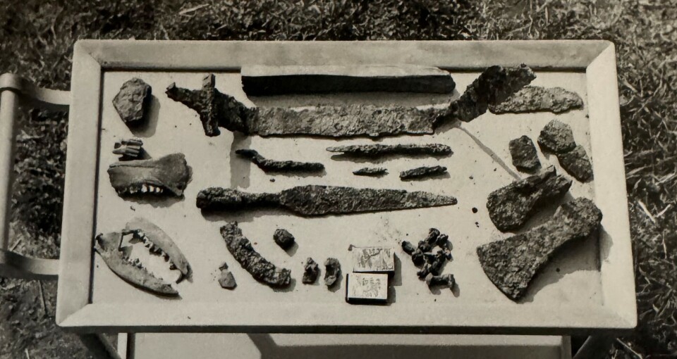 This was in the boat grave: an iron sword – 70 centimetres long, a spear, shield boss, axes, whetstone, comb, and pieces of iron. And bones from animals and humans.