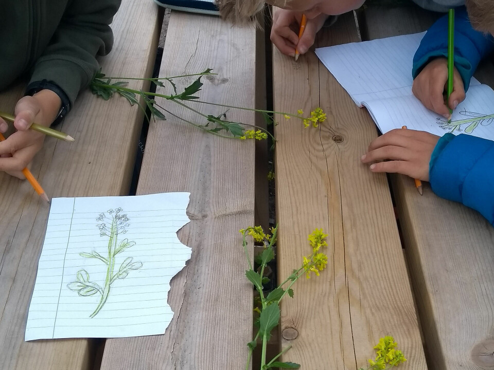 Researcher Anne Lien explains that the diversity in nature is a great source of learning and new discoveries for both students and teachers.
