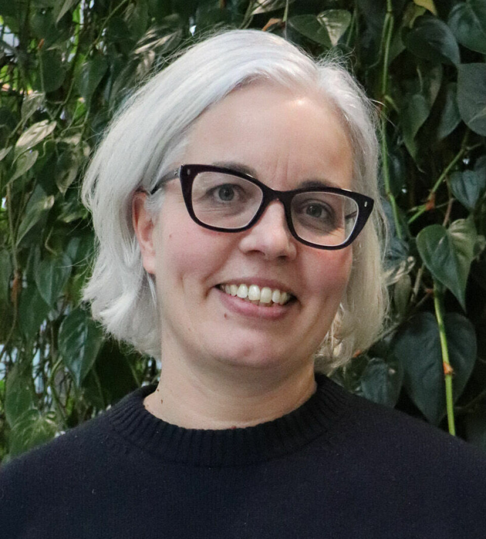 After completing her doctoral studies, Anne Lien is now an associate professor in the Department of Natural Sciences at the University of Agder.