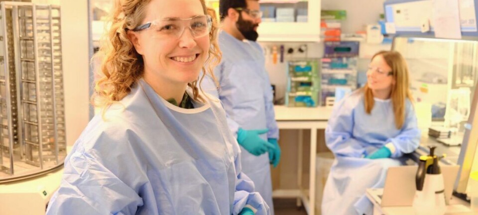 Where kelp is being turned into lab-grown meat