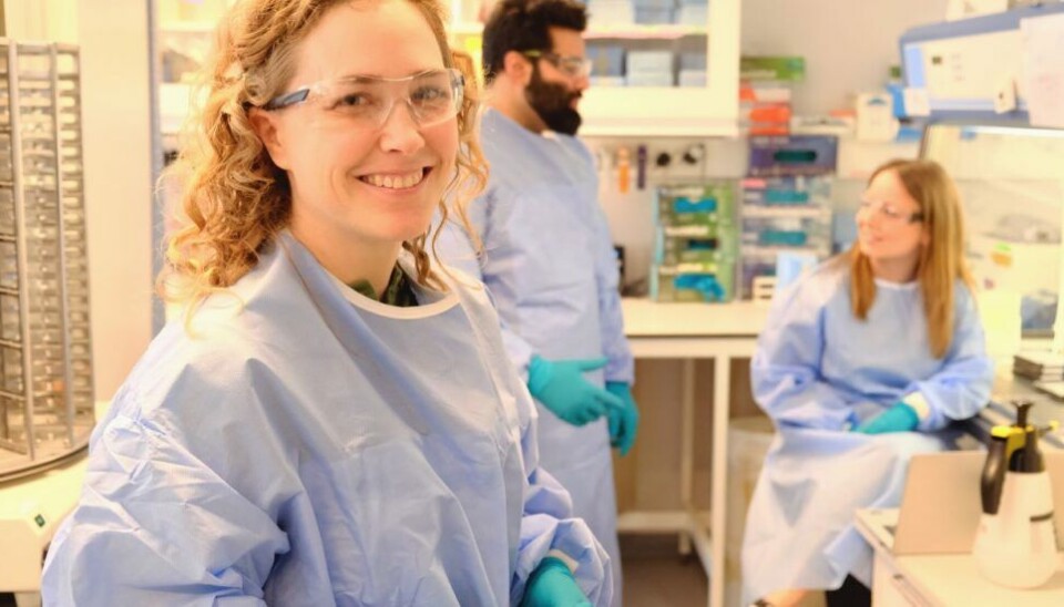 Hanne Haslene-Hox (at the front) is conducting research to bring meat production from the barn to the laboratory, here with colleagues Aman Chahal and Kari Hjelen.