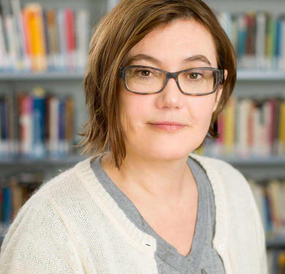 Researcher Anja Bredal believes that people in the Norwegian aid system should be aware of the phenomenon of transnational violence and how it can manifest. Portrett av NOVA-forskar Anja Bredal.