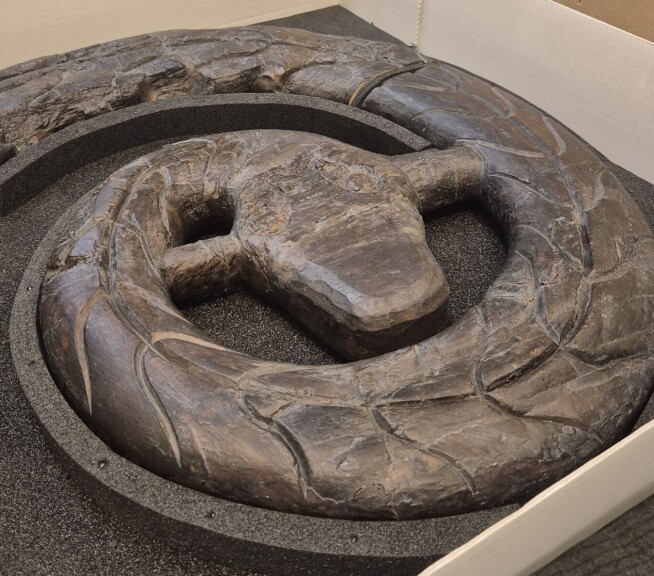 The serpent from the Oseberg Viking ship has been hidden in storage for nearly 100 years