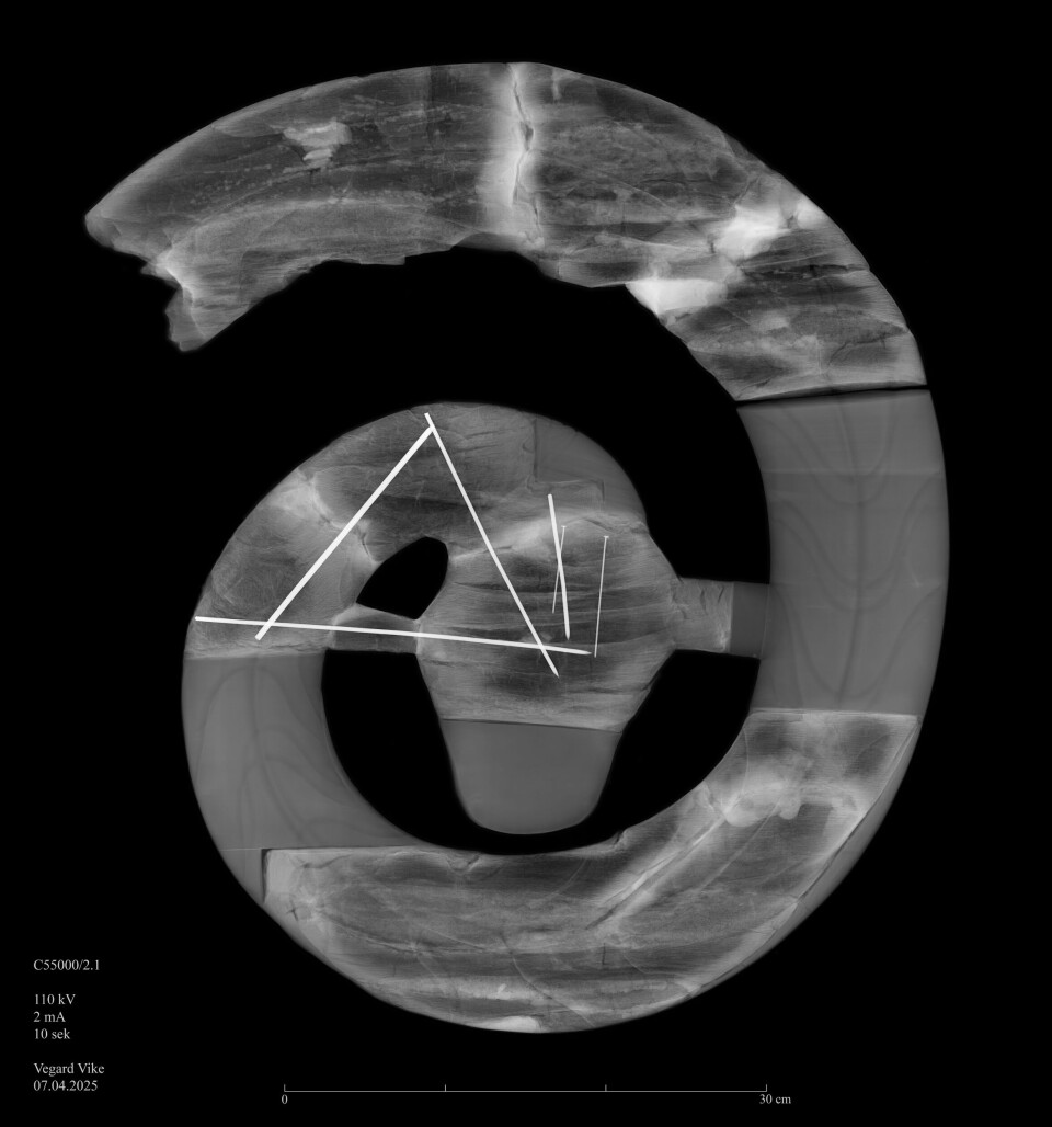 This is what the inside looks like in a new X-ray image. Here you can clearly see that the serpent's snout is made of modern wood.
