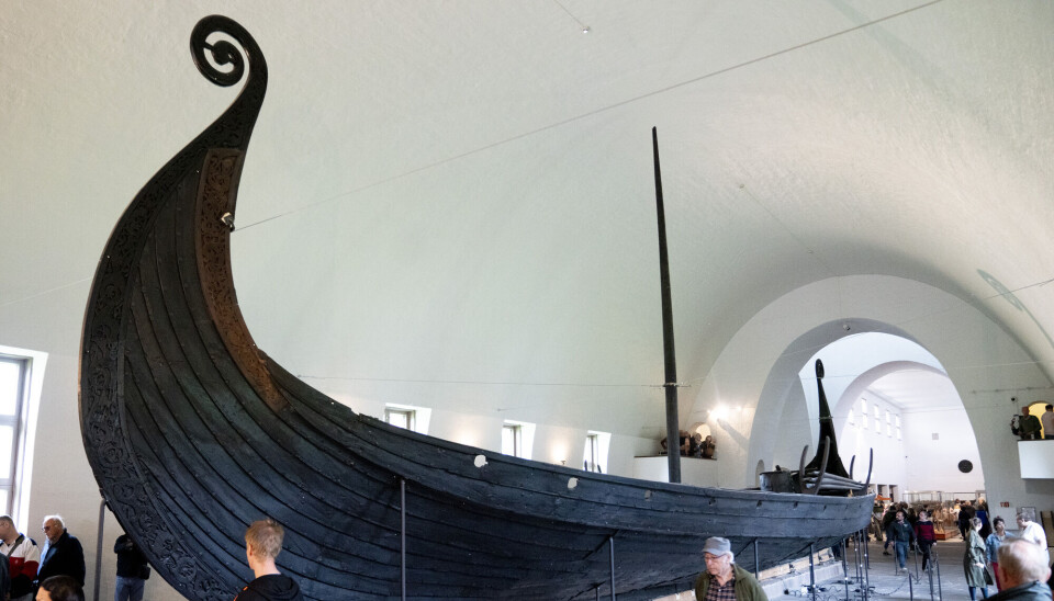 Here you can see the copy of the serpent head on the Oseberg Ship, as it stood at the old Viking Ship Museum.