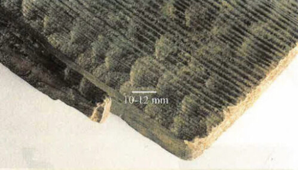 The Haugvik boat demonstrates that people in Norway were capable of shaping planks as thin as 1.5 to 1.8 centimetres – several thousand years ago. Perhaps as early as 2,000 to 3,000 years before the first Viking ships were built. The hull planks were either lashed together or fastened using wooden pegs.