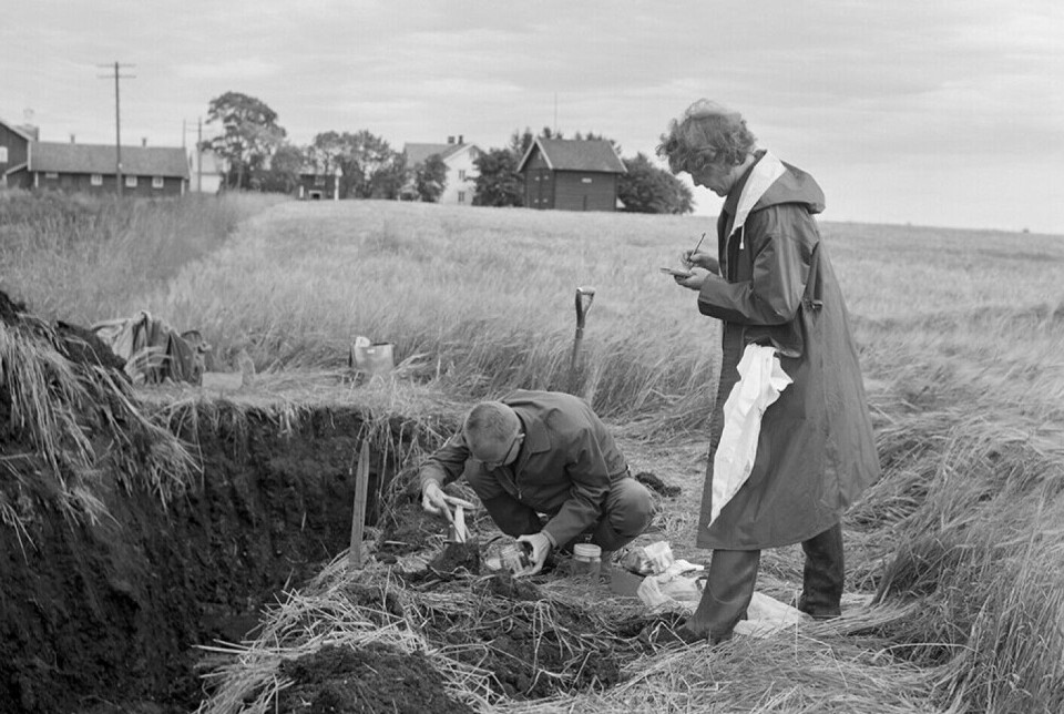 In the autumn of 1965, a farmer found an 8,000-year-old moose antler in Løten. The following year, Kari Egede Henningsmoen came to investigate what kind of environment the moose ended its life in.