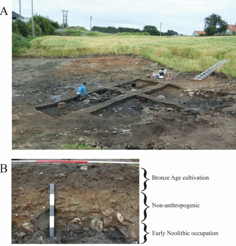 While excavating the Jåsund 2 site in Sola municipality, archaeologists initially uncovered a settlement from the Bronze Age. But buried beneath a thick layer of sand and gravel, they discovered a second, much older settlement dating back to the Stone Age. The layer sequence can be seen in the bottom picture.