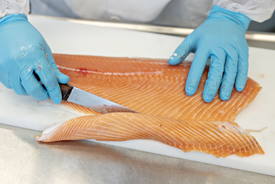 Stressed salmon become paler, with one exception, according to new research. Håndfilitering av laks i fiskehallen.