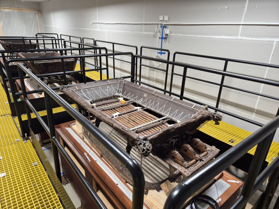 The sleds are lined up. It is possible to glimpse the mesh that secures the fragments, held in place by a white thread in a zigzag pattern along the edges of the sled.