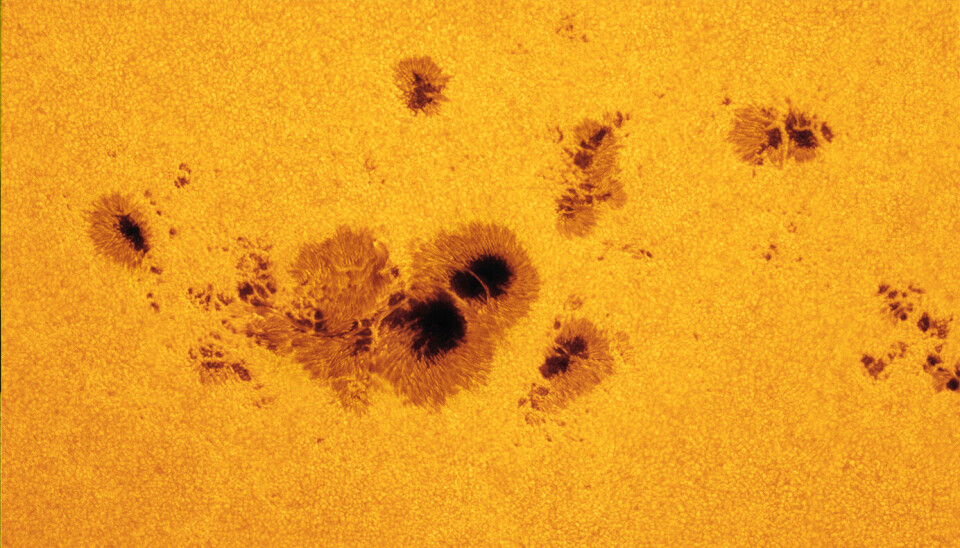 Sunspots on the sun. These spots are the size of Earth and indicate the presence of intense magnetic forces within the sun.
