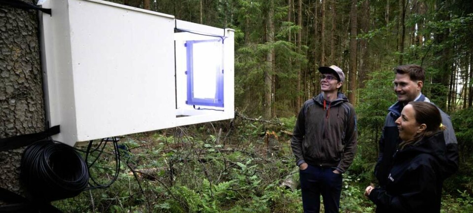 Light traps can tell us more about nocturnal moths