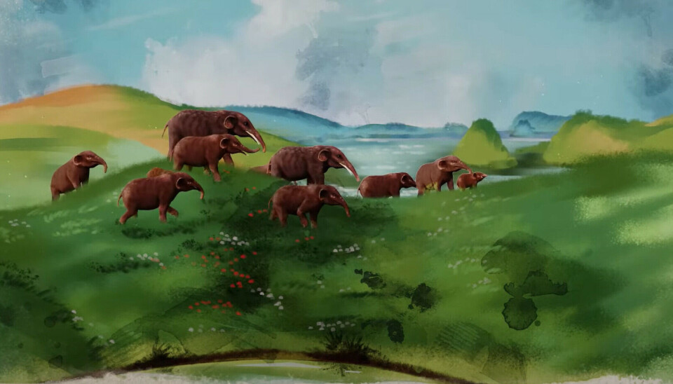 Elephants from Africa migrated into Asia via the Gomphotherium land bridge, which formed around 20 million years ago.