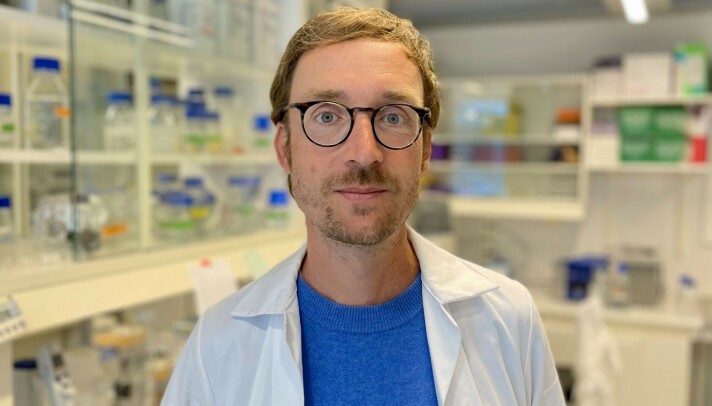 When Professor and plastic researcher Martin Wagner and his colleagues exposed cells in the lab to chemicals from a plastic product, they saw an immediate effect.
