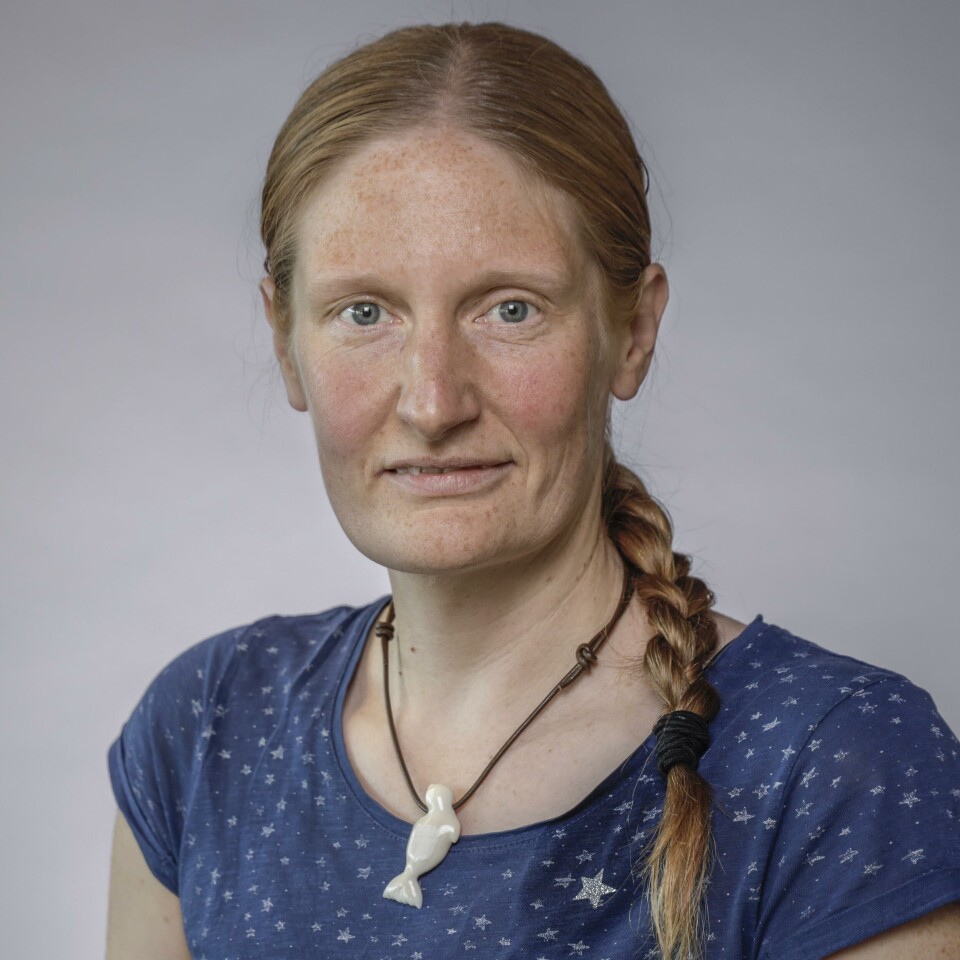 Signe Riemer-Sørensen researches artificial intelligence and machine learning. Portrett av Signe Riemer-Sørensen.