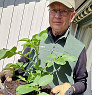 You can reuse potting soil for several years