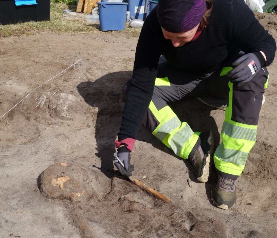Archaeologist Janne Oppvang carefully cleans the skeleton.