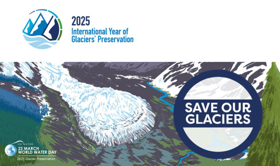 In 2025, the world`s glaciers were assigned their own UN day, World Day for Glaciers, which is March 21.